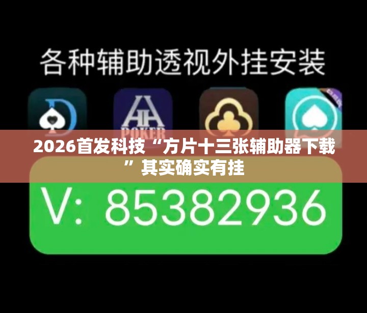 2026首发科技“方片十三张辅助器下载	”其实确实有挂