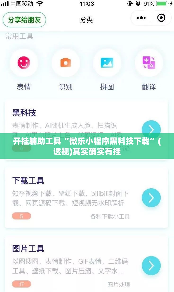 开挂辅助工具“微乐小程序黑科技下载”(透视)其实确实有挂