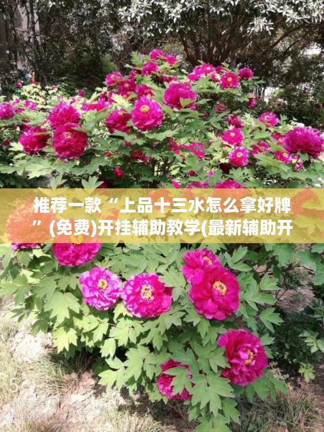推荐一款“上品十三水怎么拿好牌”(免费)开挂辅助教学(最新辅助开挂教程)