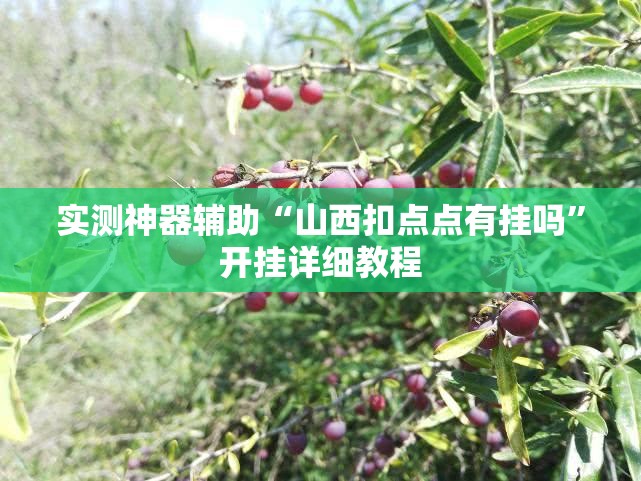 实测神器辅助“山西扣点点有挂吗	”开挂详细教程