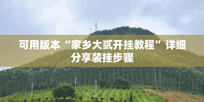 可用版本“家乡大贰开挂教程	”详细分享装挂步骤