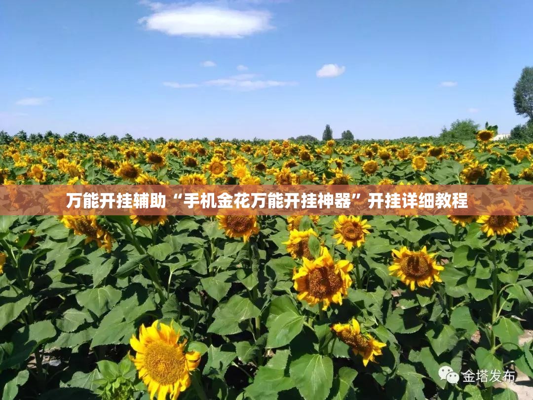 万能开挂辅助“手机金花万能开挂神器”开挂详细教程