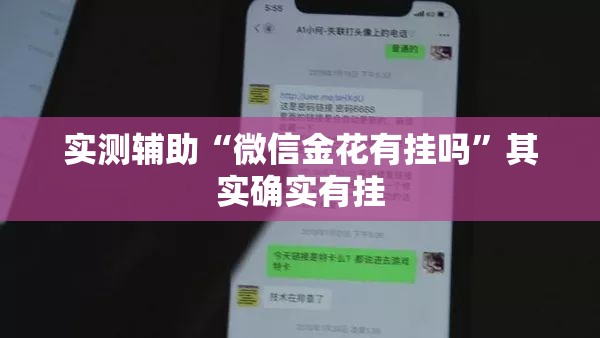实测辅助“微信金花有挂吗”其实确实有挂