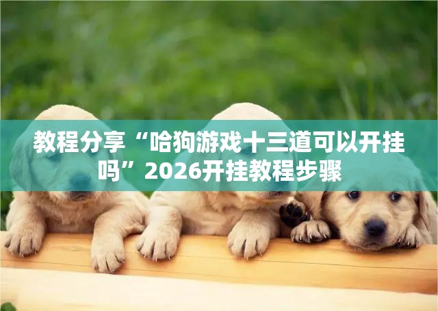 教程分享“哈狗游戏十三道可以开挂吗	”2026开挂教程步骤