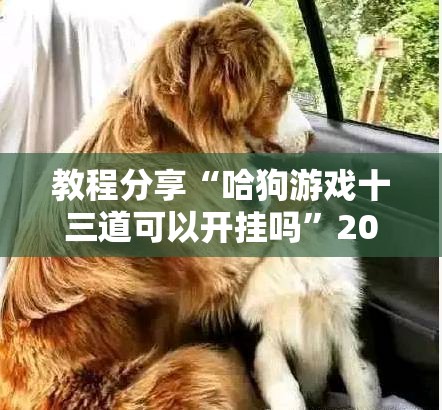 教程分享“哈狗游戏十三道可以开挂吗	”2026开挂教程步骤