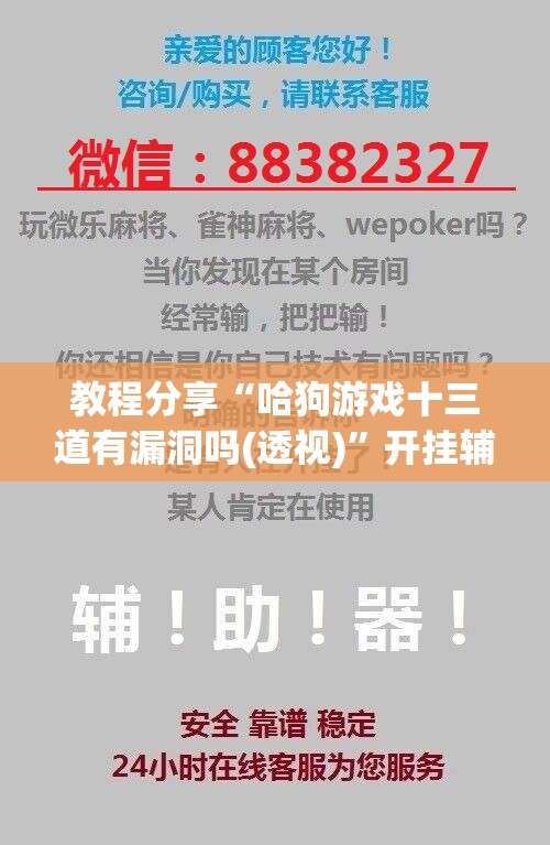教程分享“哈狗游戏十三道有漏洞吗(透视)”开挂辅助脚本+详细开挂安装教程