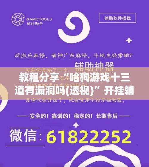 教程分享“哈狗游戏十三道有漏洞吗(透视)”开挂辅助脚本+详细开挂安装教程