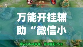 万能开挂辅助“微信小程序微乐内蒙麻将外卦辅助软件下载”开挂(透视)辅助教程