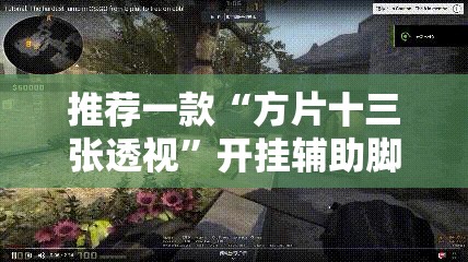 推荐一款“方片十三张透视”开挂辅助脚本+详细开挂安装教程