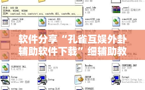 软件分享“孔雀互娱外卦辅助软件下载”细辅助教程分享