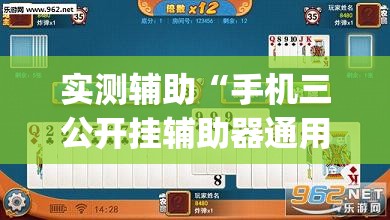 实测辅助“手机三公开挂辅助器通用版	”开挂(透视)辅助教程