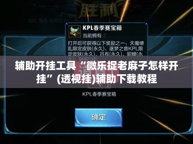 辅助开挂工具“微乐捉老麻子怎样开挂	”(透视挂)辅助下载教程
