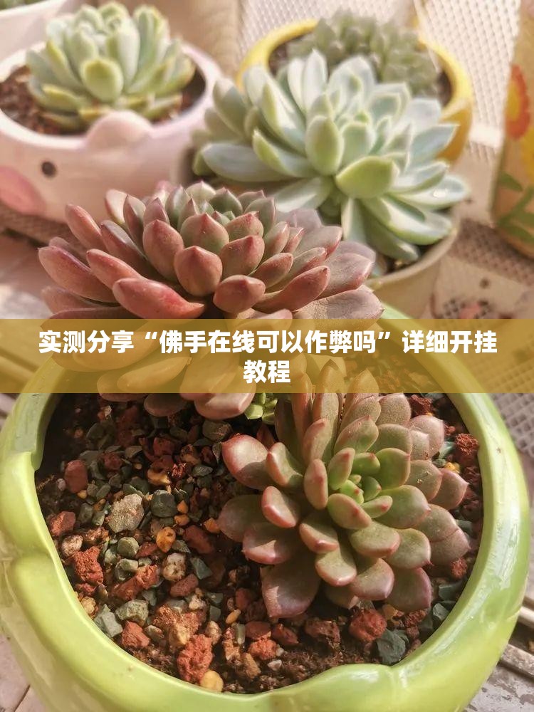 实测分享“佛手在线可以作弊吗	”详细开挂教程