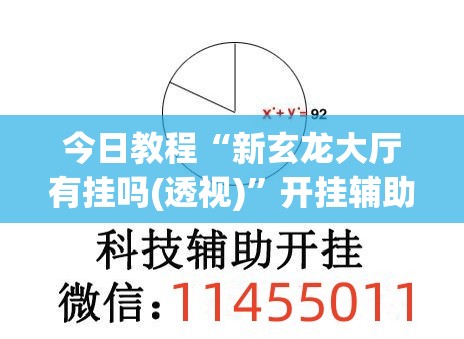 今日教程“新玄龙大厅有挂吗(透视)”开挂辅助脚本+详细开挂安装教程