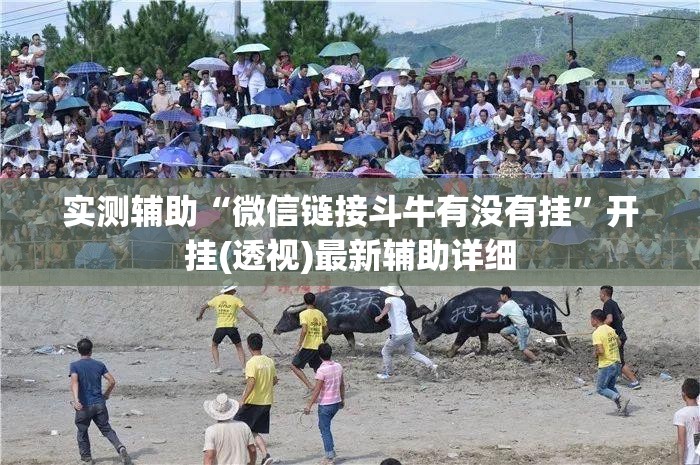 实测辅助“微信链接斗牛有没有挂	”开挂(透视)最新辅助详细
