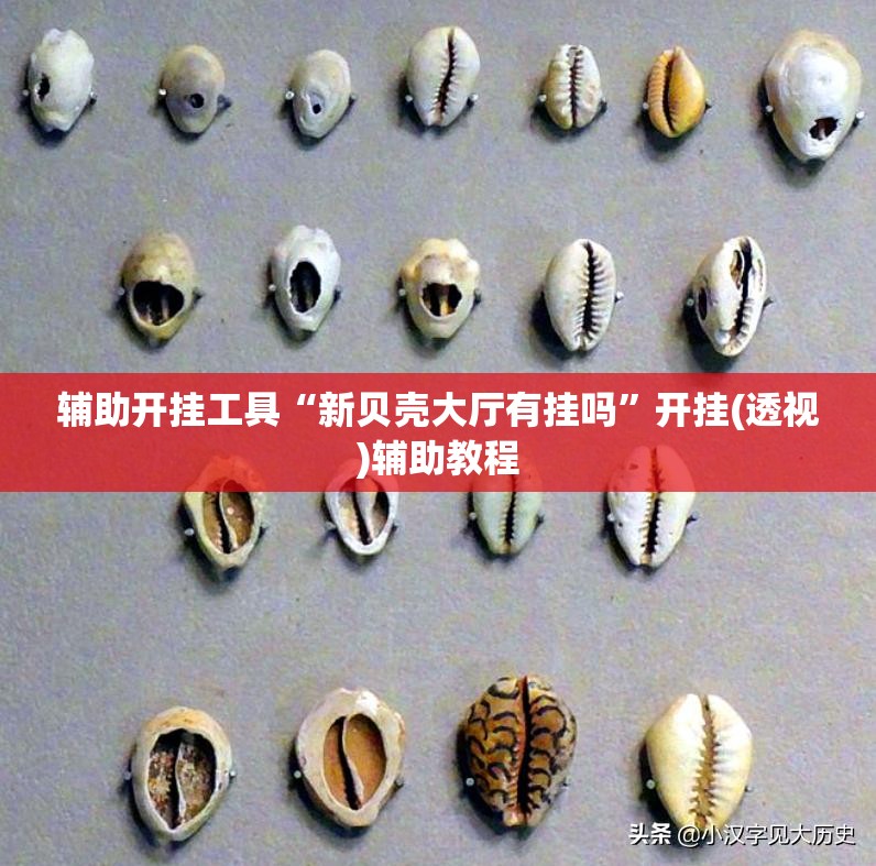 辅助开挂工具“新贝壳大厅有挂吗	”开挂(透视)辅助教程