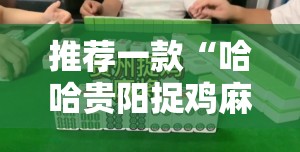 推荐一款“哈哈贵阳捉鸡麻将怎么打才能赢”详细开挂教程