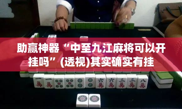 助赢神器“中至九江麻将可以开挂吗”(透视)其实确实有挂