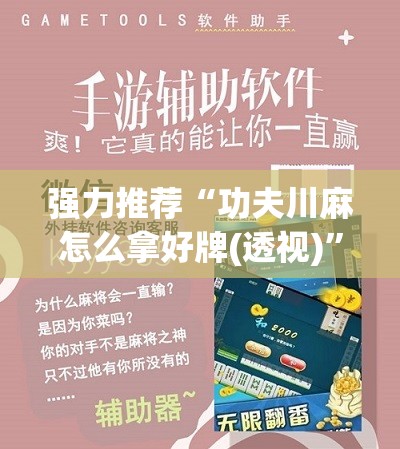 强力推荐“功夫川麻怎么拿好牌(透视)”开挂辅助脚本+详细开挂安装教程