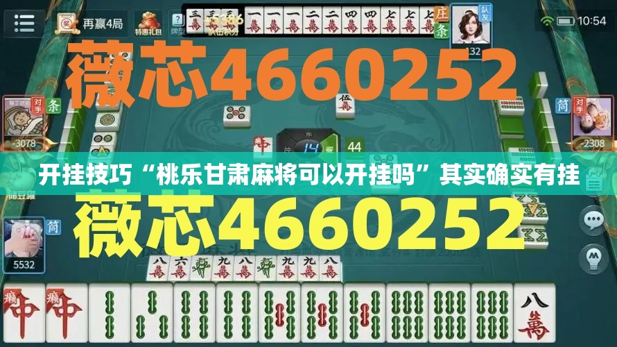 开挂技巧“桃乐甘肃麻将可以开挂吗	”其实确实有挂