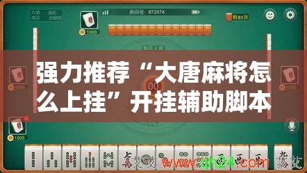 强力推荐“大唐麻将怎么上挂	”开挂辅助脚本+详细开挂安装教程