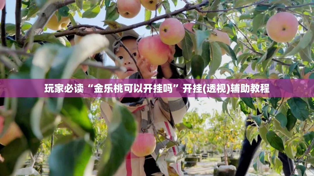 玩家必读“金乐桃可以开挂吗”开挂(透视)辅助教程