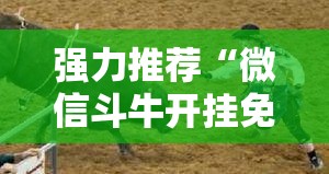 强力推荐“微信斗牛开挂免费下载	”其实确实有挂