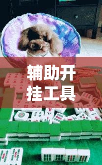 辅助开挂工具“闲来麻将有没有开挂的	”细辅助教程分享