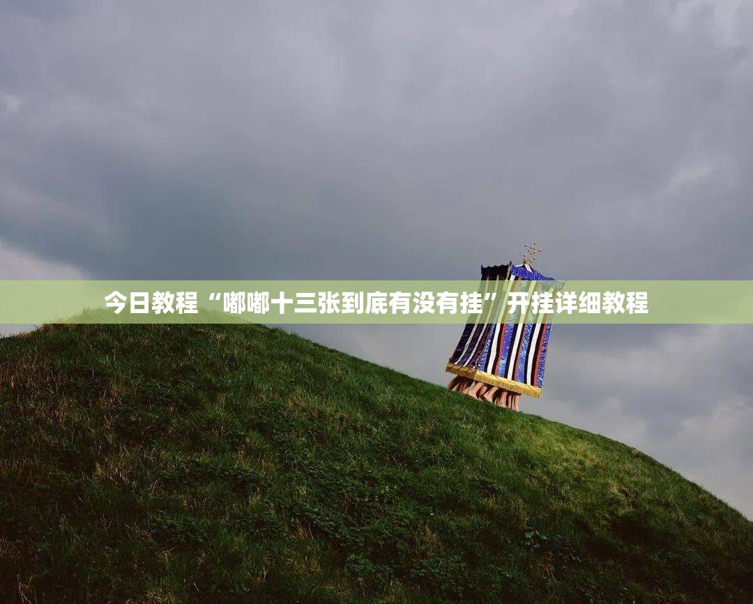 今日教程“嘟嘟十三张到底有没有挂”开挂详细教程