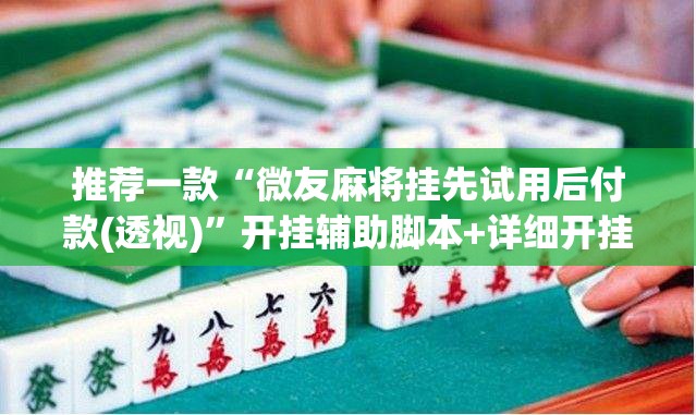 推荐一款“微友麻将挂先试用后付款(透视)	”开挂辅助脚本+详细开挂安装教程