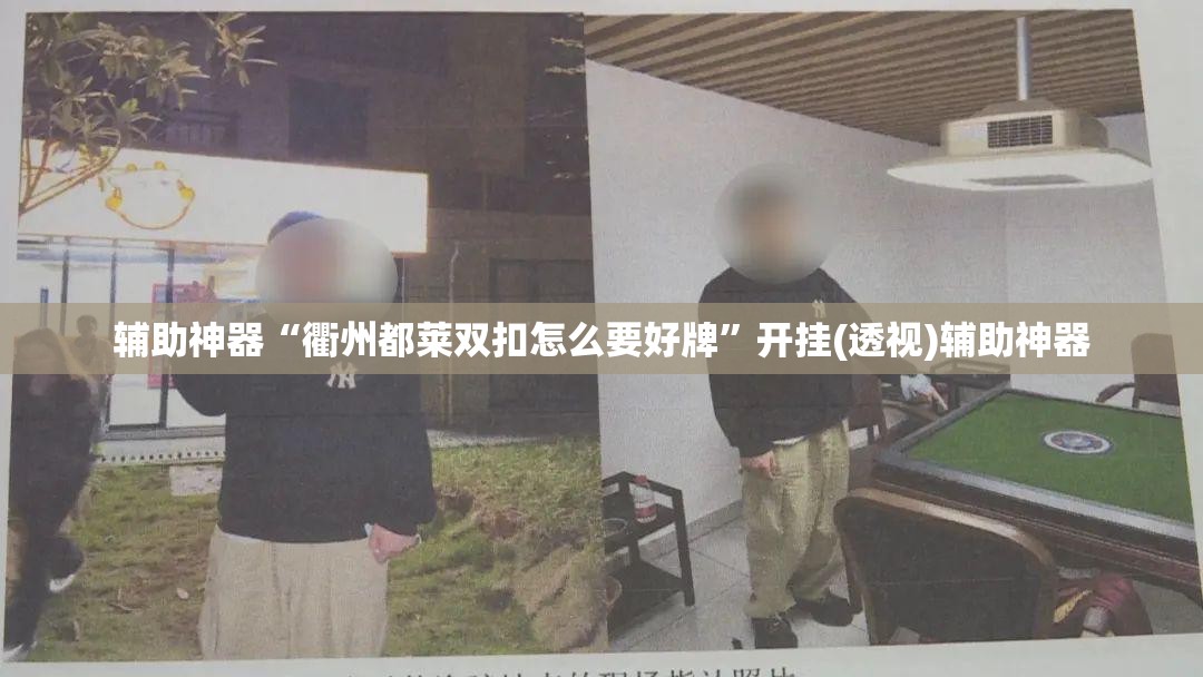 辅助神器“衢州都莱双扣怎么要好牌”开挂(透视)辅助神器