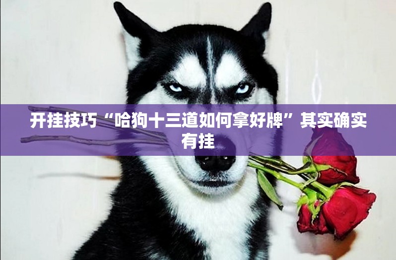 开挂技巧“哈狗十三道如何拿好牌”其实确实有挂