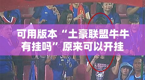 可用版本“土豪联盟牛牛有挂吗”原来可以开挂