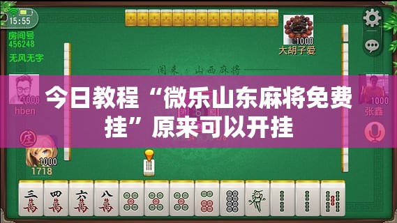 今日教程“微乐山东麻将免费挂”原来可以开挂