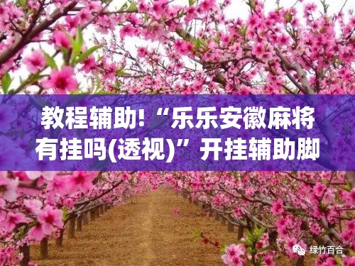 教程辅助!“乐乐安徽麻将有挂吗(透视)”开挂辅助脚本+详细开挂安装教程