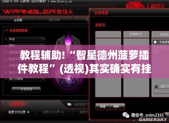 教程辅助!“智星德州菠萝插件教程”(透视)其实确实有挂
