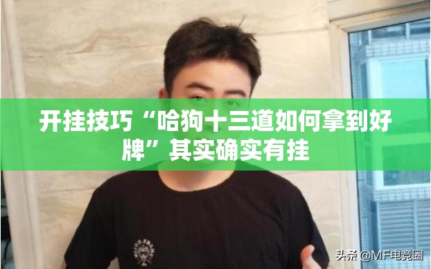 开挂技巧“哈狗十三道如何拿到好牌”其实确实有挂