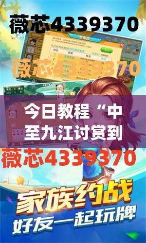 今日教程“中至九江讨赏到底有没有挂”开挂(透视)辅助教程