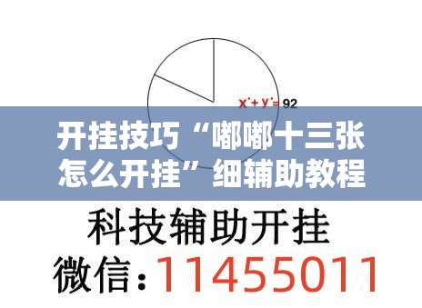 开挂技巧“嘟嘟十三张怎么开挂	”细辅助教程分享