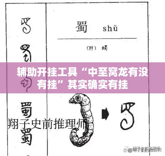 辅助开挂工具“中至窝龙有没有挂”其实确实有挂
