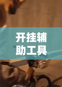 开挂辅助工具“开心联盟可以开挂吗”其实确实有挂
