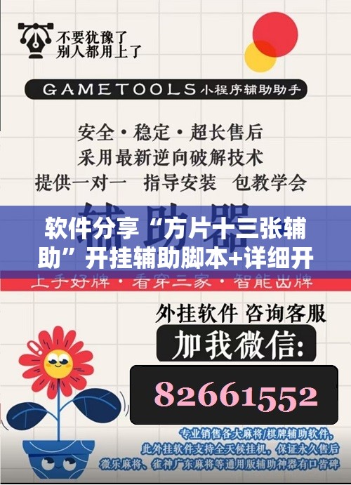 软件分享“方片十三张辅助”开挂辅助脚本+详细开挂安装教程