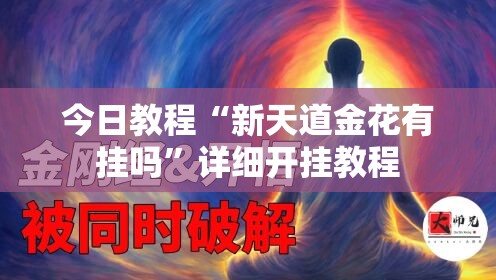 今日教程“新天道金花有挂吗”详细开挂教程