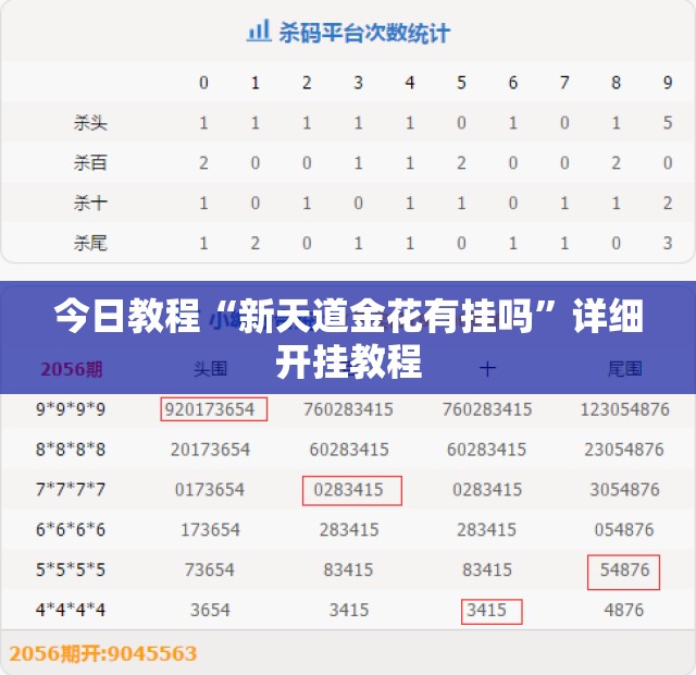 今日教程“新天道金花有挂吗”详细开挂教程