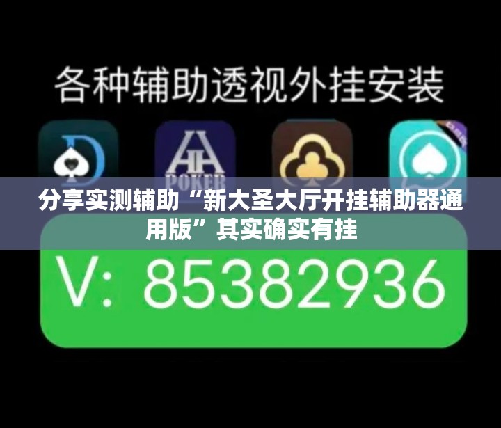 分享实测辅助“新大圣大厅开挂辅助器通用版”其实确实有挂