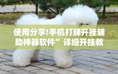 使用分享!手机打牌开挂辅助神器软件”详细开挂教程