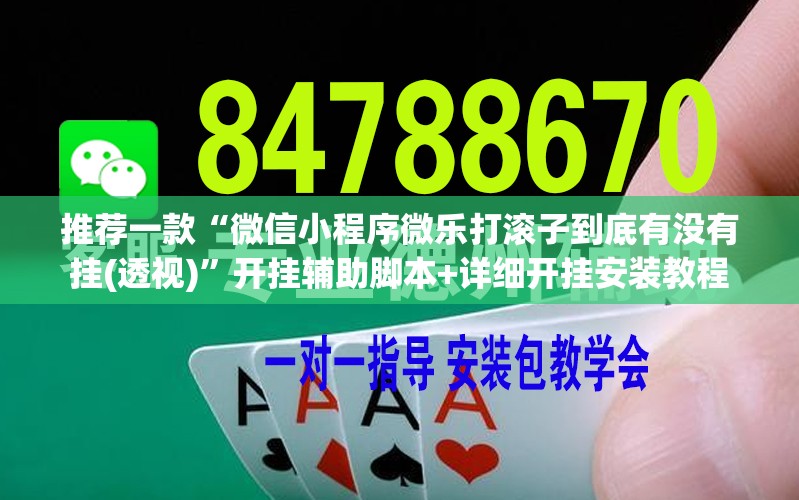 推荐一款“微信小程序微乐打滚子到底有没有挂(透视)”开挂辅助脚本+详细开挂安装教程