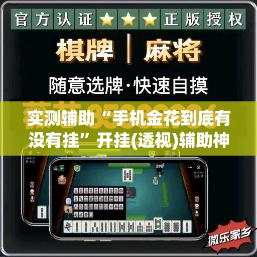 实测辅助“手机金花到底有没有挂”开挂(透视)辅助神器