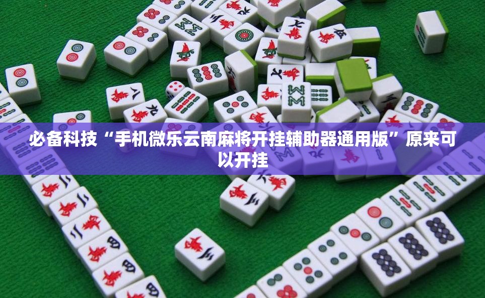 必备科技“手机微乐云南麻将开挂辅助器通用版”原来可以开挂