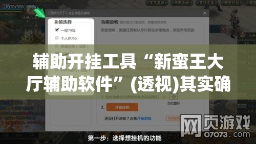 辅助开挂工具“新蛮王大厅辅助软件”(透视)其实确实有挂
